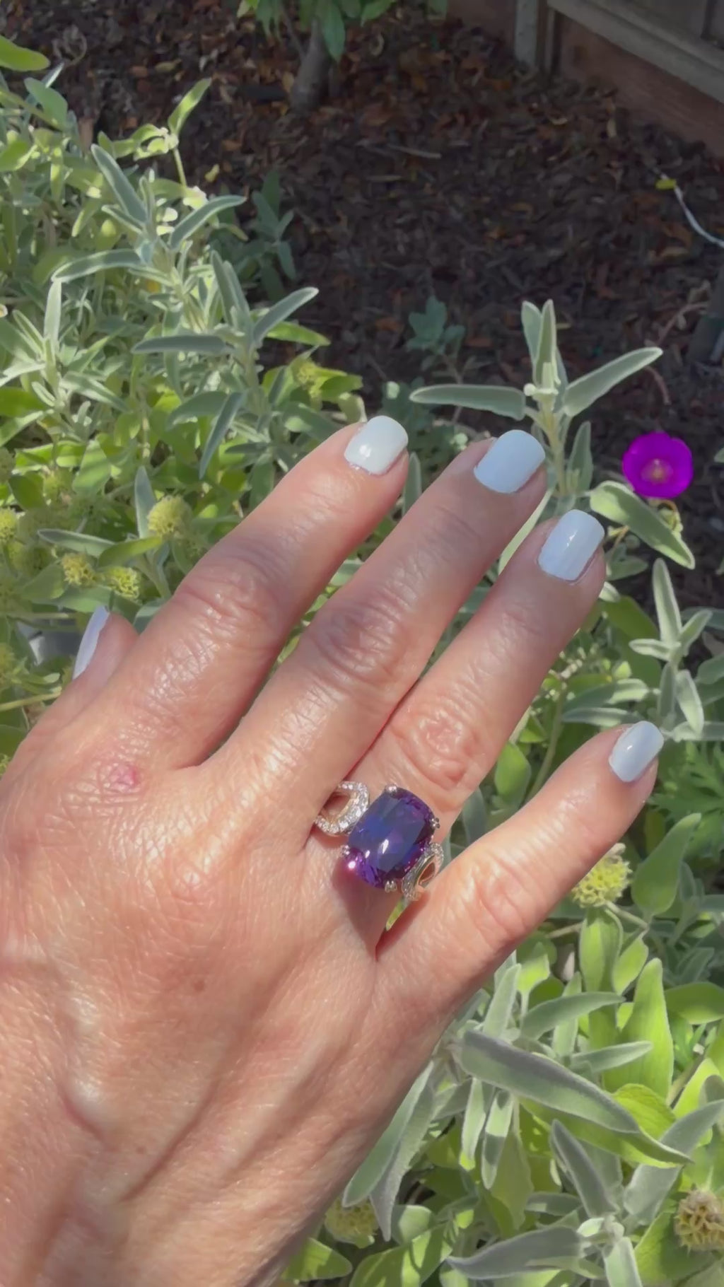 Isla Ring in Laboratory Purple Sapphire